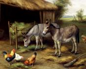 埃德加 亨特 : Donkeys And Poultry